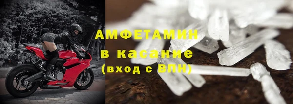 гашик Алексин