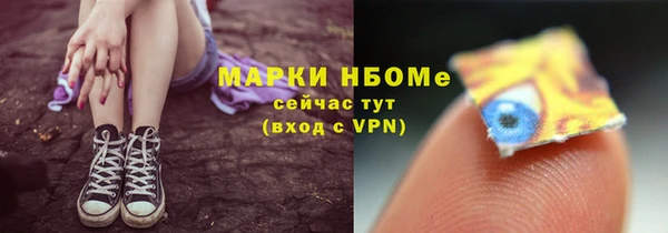 сатива Инсар