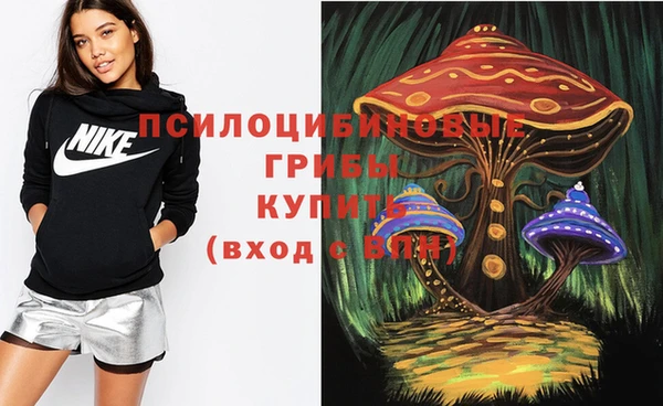 бошки Арсеньев