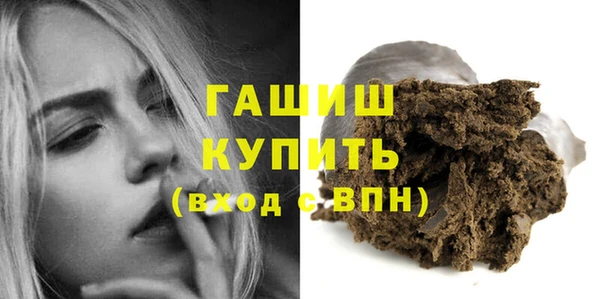 гашик Алексин