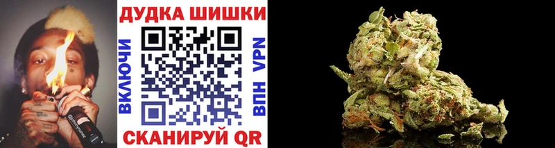 Канабис гибрид  Бологое 